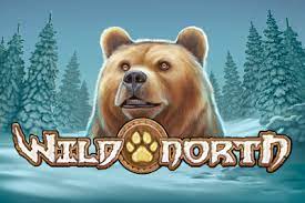 Ulasan Game Slot Online Wild North dari Play’n Go